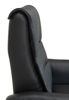 Bild på CAESAR PLUS Reclinerfåtölj 2 motor LiftUp Large läder Soleda/skai 441 svart m värme & elman.nacke
